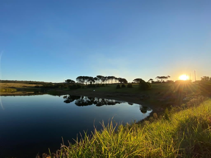 0 Bedroom Property for Sale in Kabeljauws Eastern Cape
